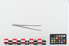 Foto von Bronzepinzette (NHMW-PRAE-024107)